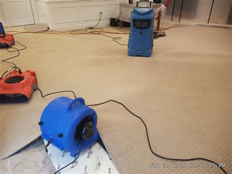carpet cleaning and restoration services.
